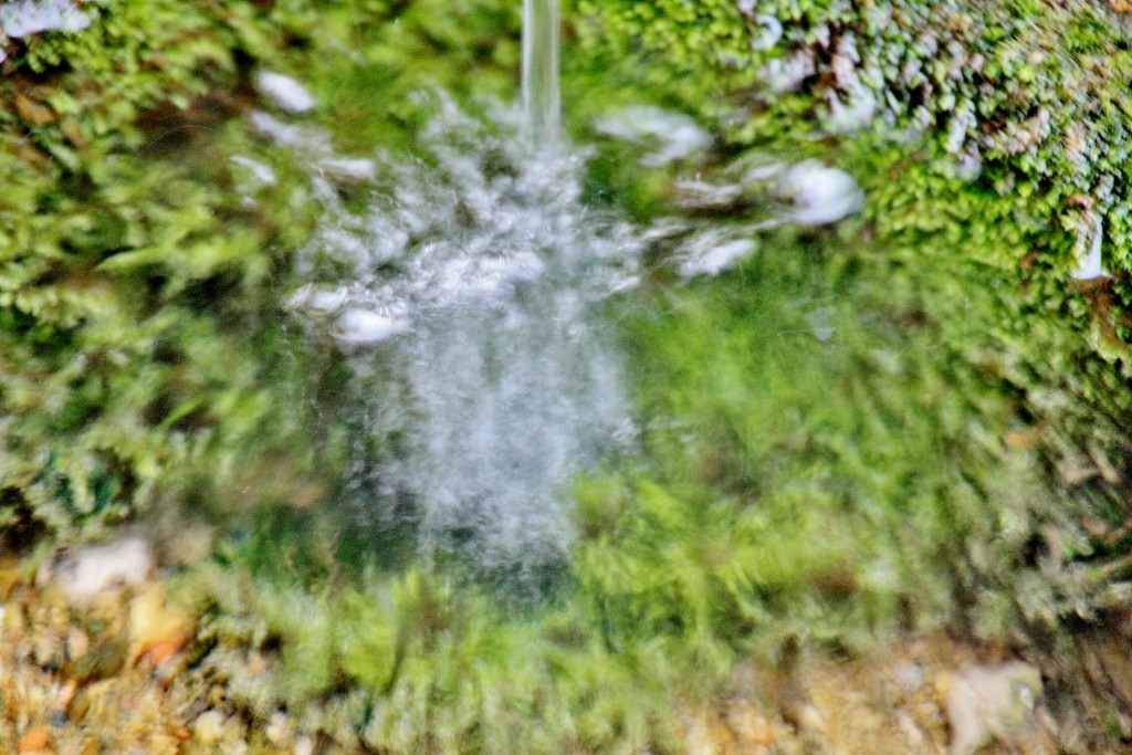 Foto: Fuente - Salinillas de Buradón (Álava), España
