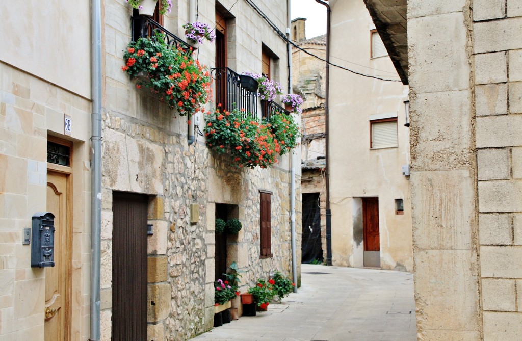 Foto: Centro histórico - Salinillas de Buradón (Álava), España