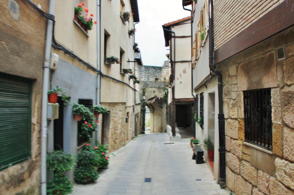 Foto: Centro histórico - Salinillas de Buradón (Álava), España