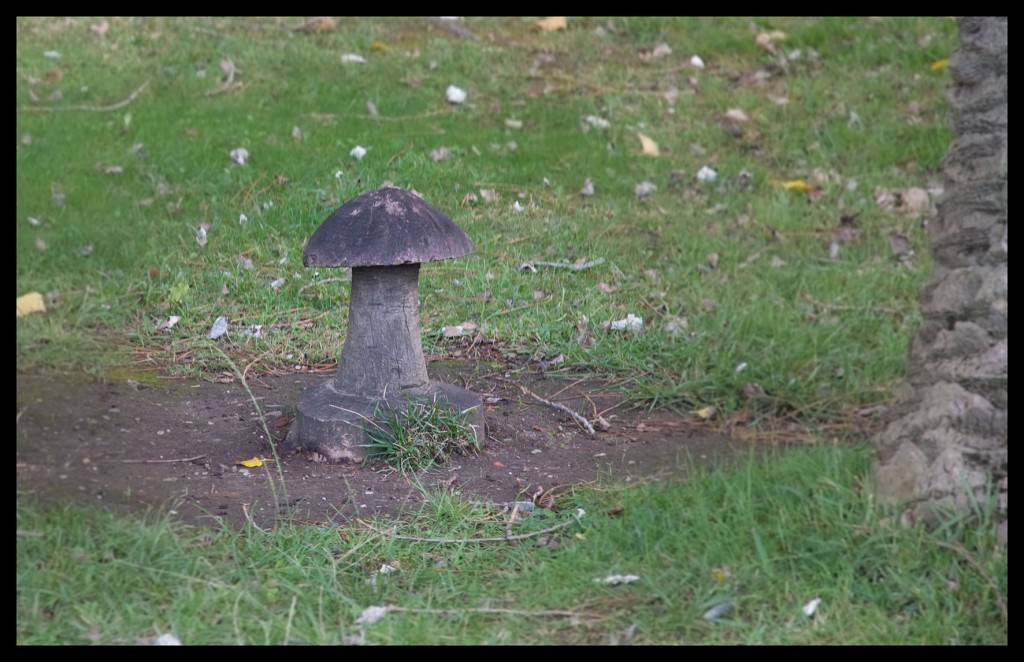 Foto de Santander (Cantabria), España