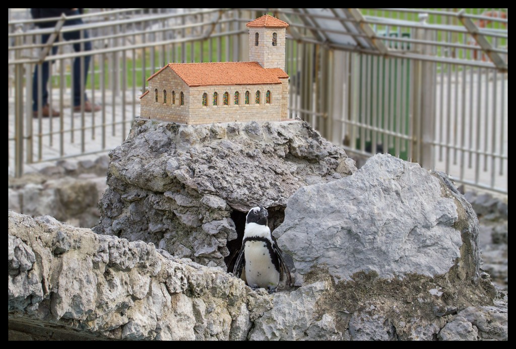 Foto de Santander (Cantabria), España
