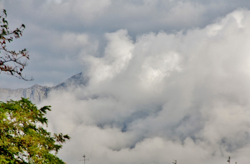 Foto: Paisaje - Elciego (Álava), España