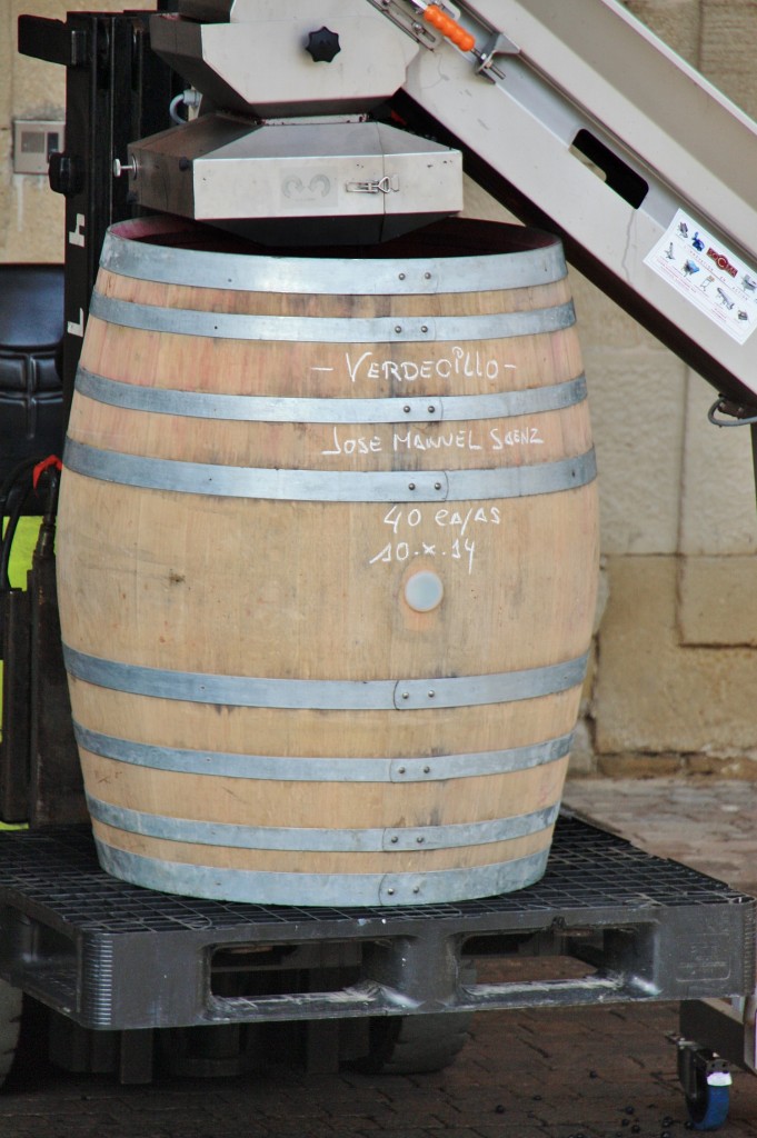 Foto: Bodegas Marqués de Riscal - Elciego (Álava), España