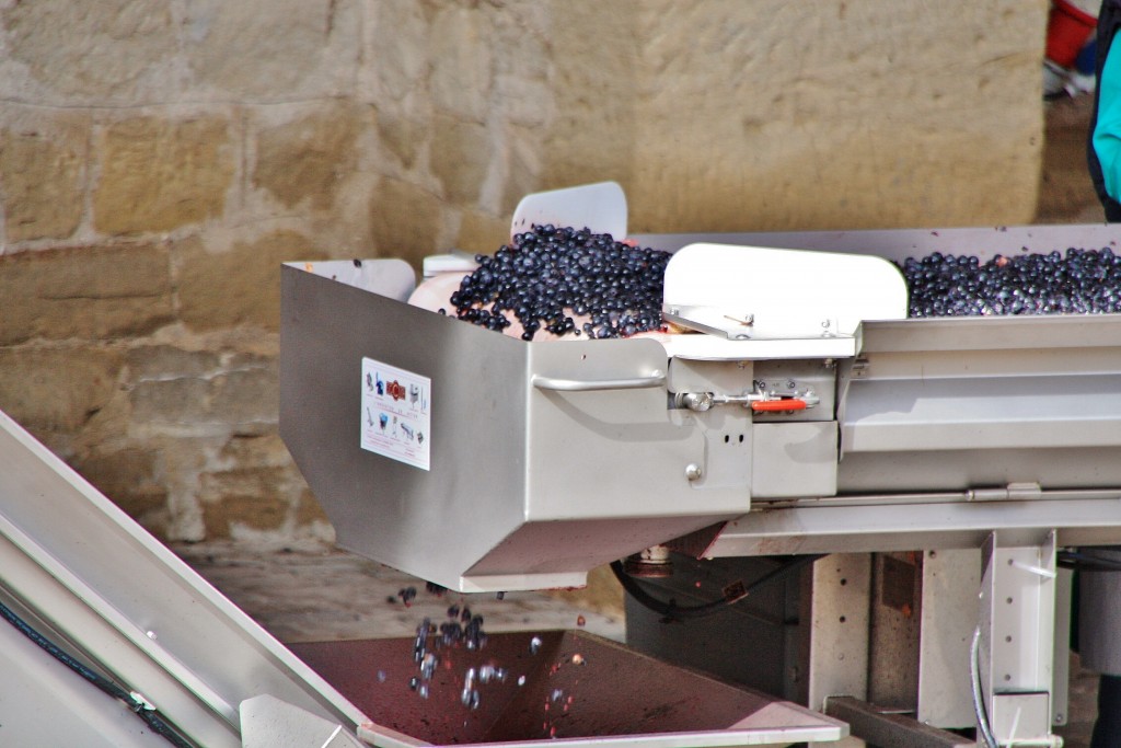Foto: Bodegas Marqués de Riscal - Elciego (Álava), España
