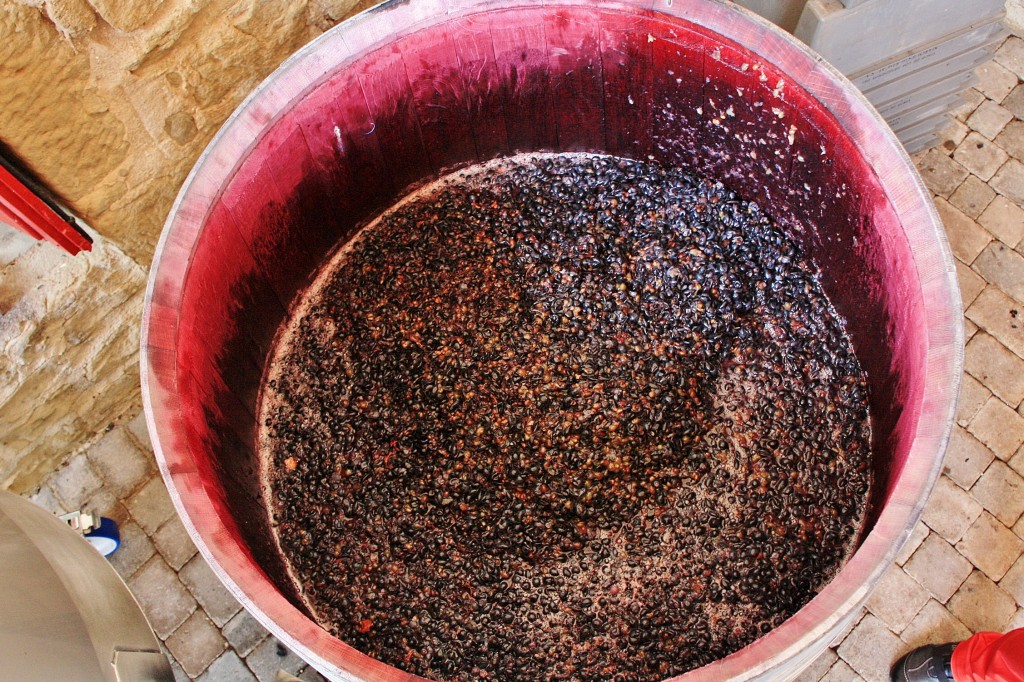 Foto: Bodegas Marqués de Riscal - Elciego (Álava), España