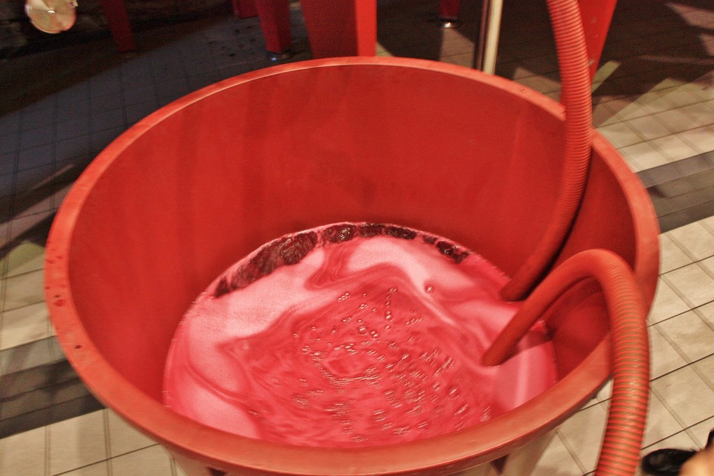 Foto: Bodegas Marqués de Riscal - Elciego (Álava), España