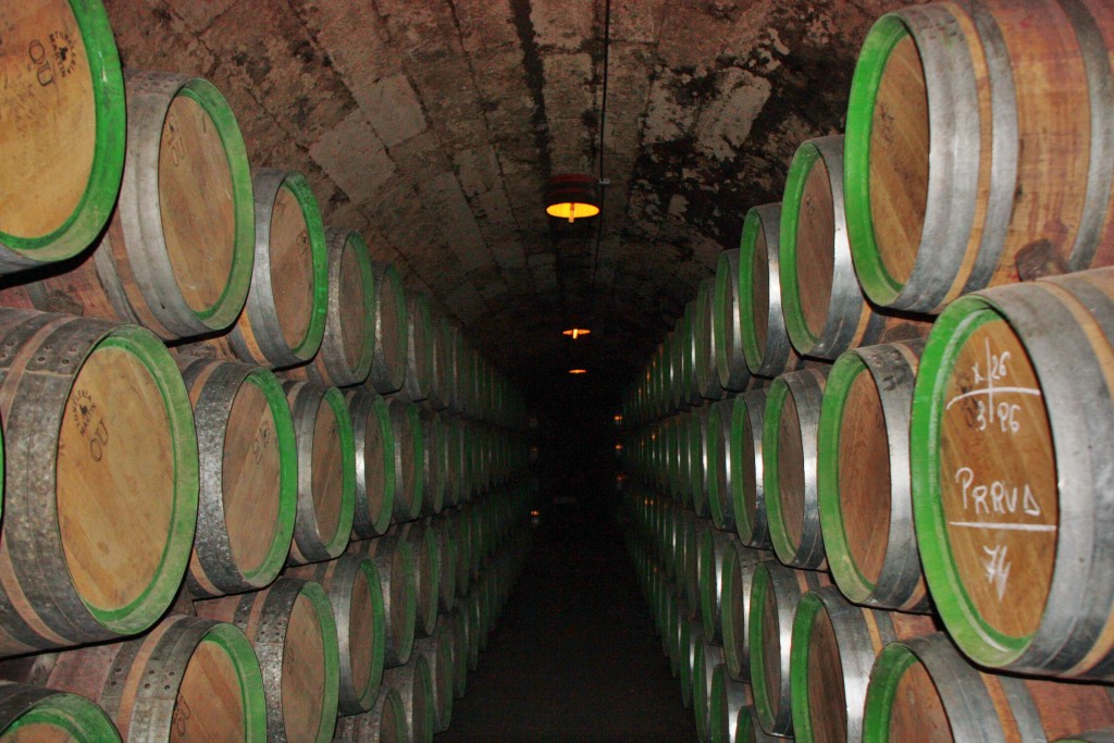Foto: Bodegas Marqués de Riscal - Elciego (Álava), España