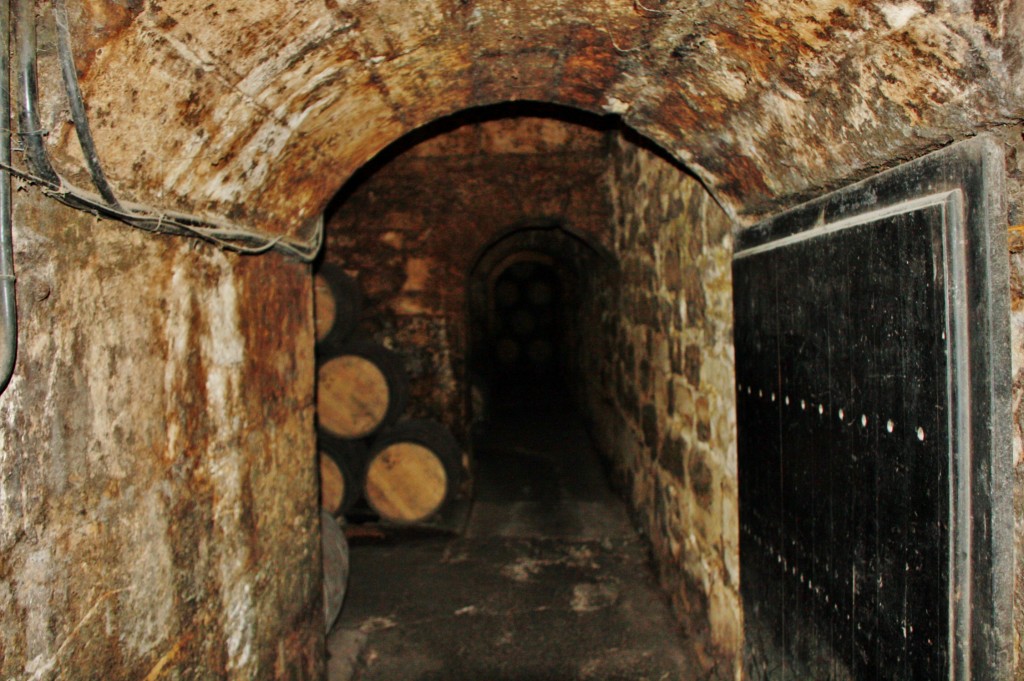 Foto: Bodegas Marqués de Riscal - Elciego (Álava), España
