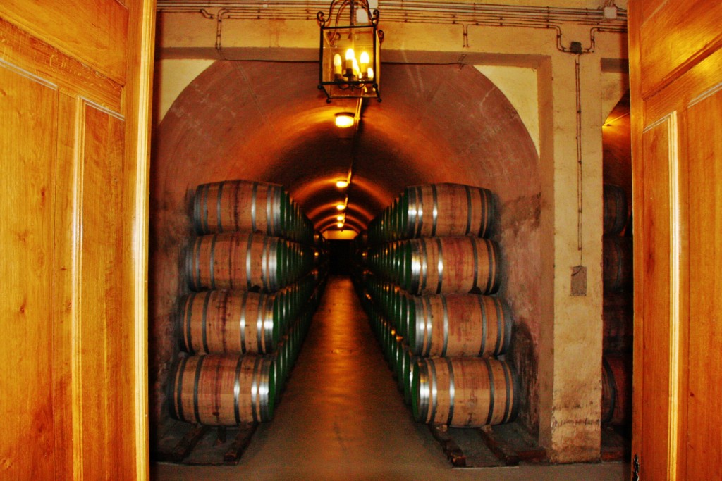 Foto: Bodegas Marqués de Riscal - Elciego (Álava), España