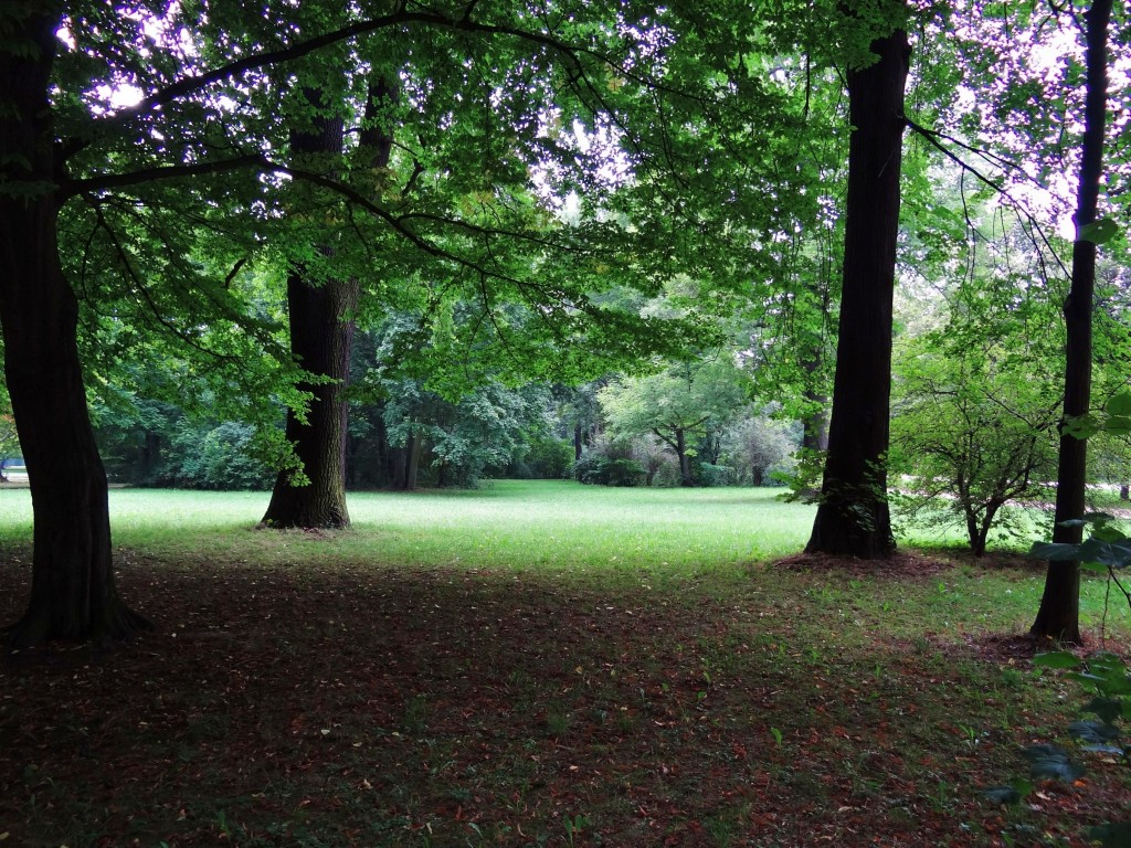 Foto: Großer Garten - Dresde (Saxony), Alemania