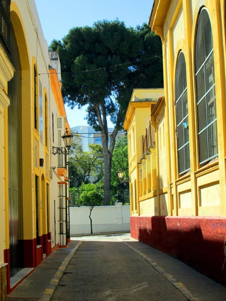 Foto: Calle Maldonado - San Fernando (Cádiz), España