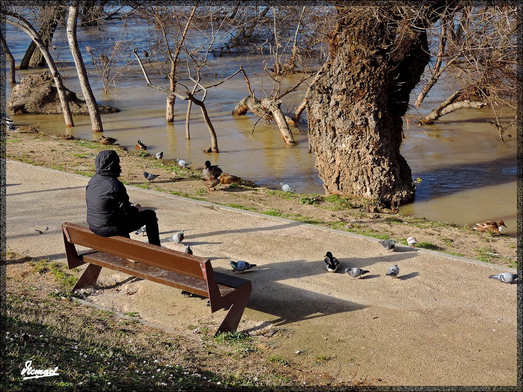 Foto: 150218-19 RIADA EN EL ,EBRO - Zaragoza (Aragón), España