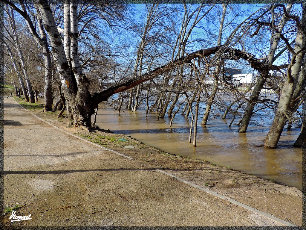 Foto: 150218-20 RIADA EN EL ,EBRO - Zaragoza (Aragón), España