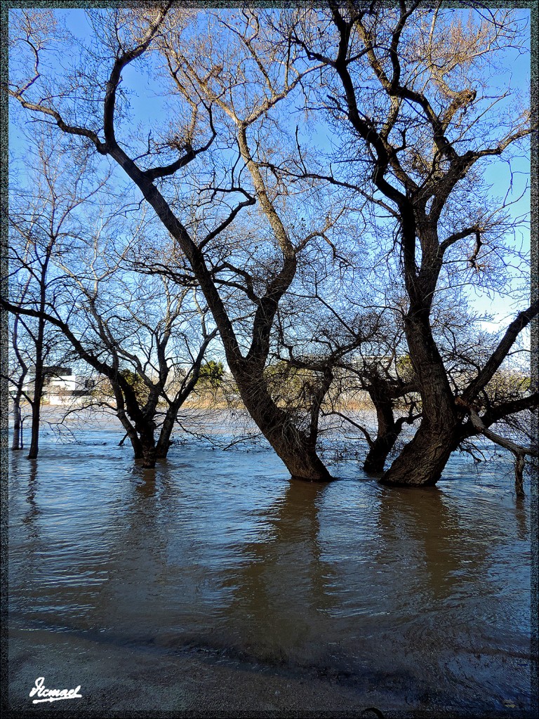 Foto: 150218-23 RIADA EN EL ,EBRO - Zaragoza (Aragón), España