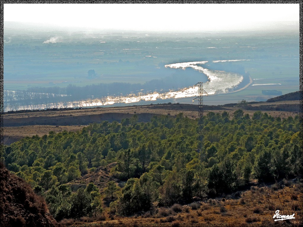 Foto: 150219-01 JUSLIBOL - Zaragoza (Aragón), España