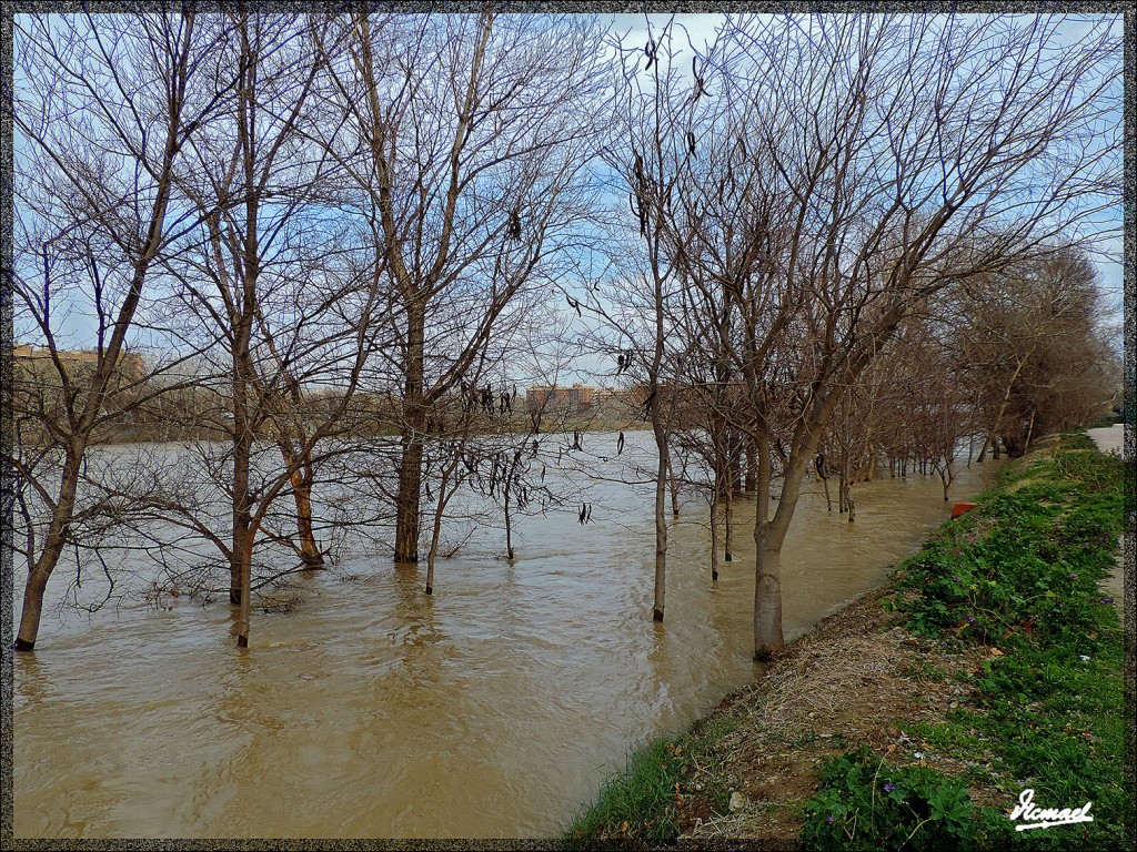 Foto: 150220-15 ZARAGOZA RIO EBRO - Zaragoza (Aragón), España