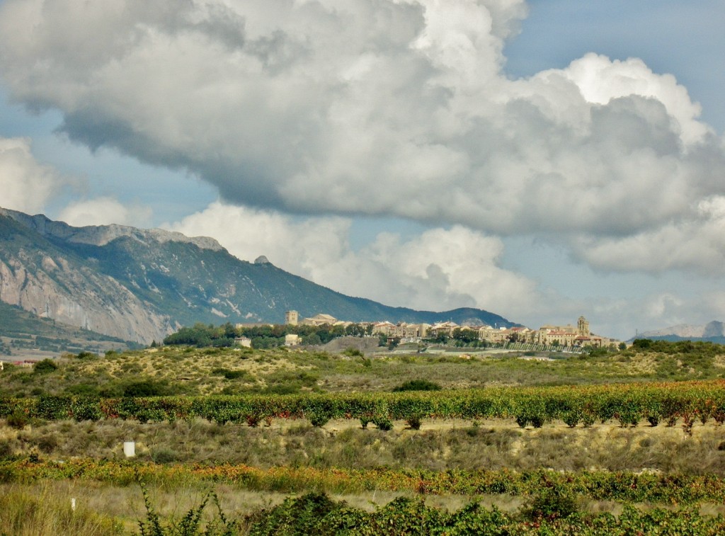 Foto: Paisaje - Antoñana (Álava), España