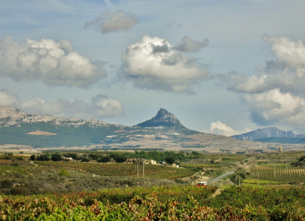 Foto: Paisaje - Antoñana (Álava), España