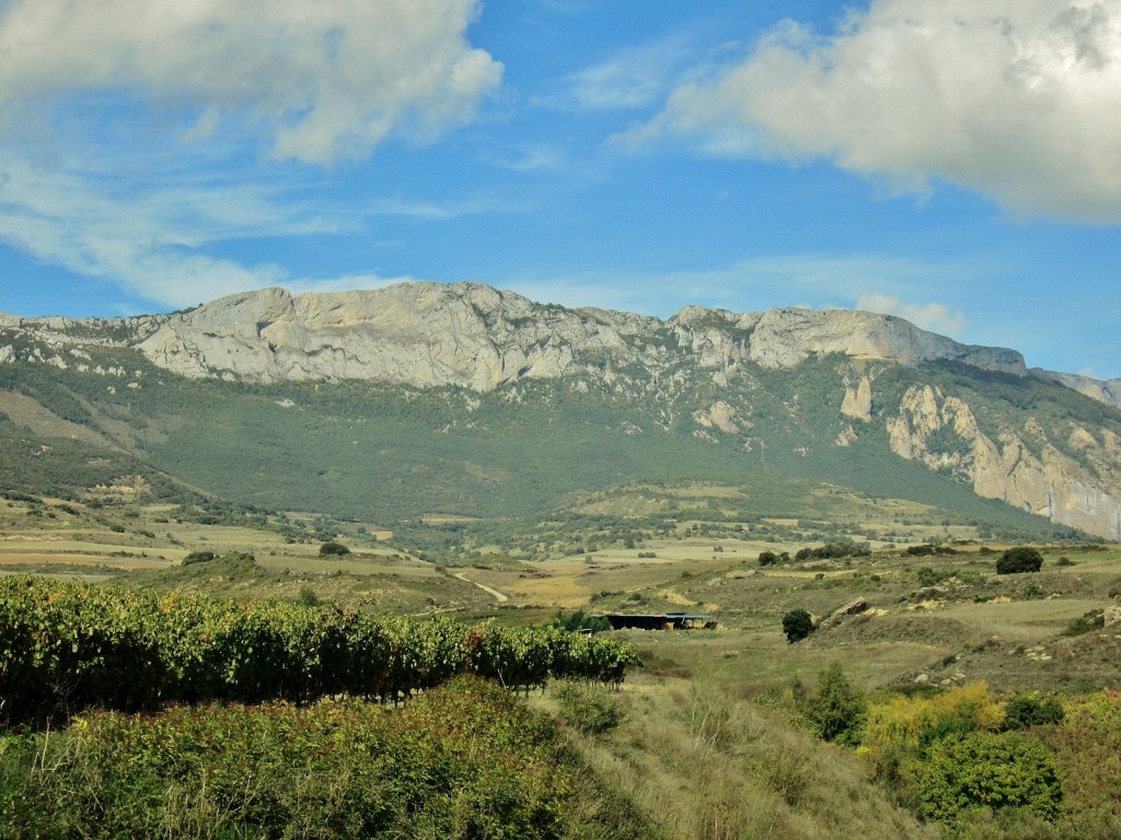 Foto: Paisaje - Antoñana (Álava), España