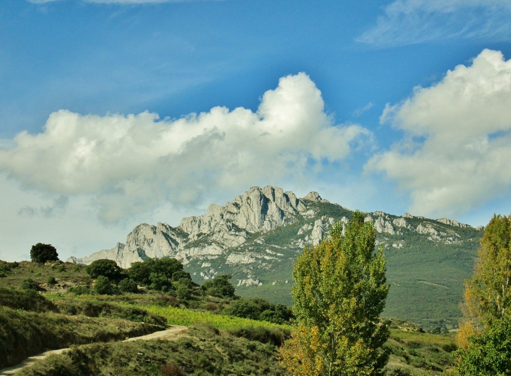 Foto: Paisaje - Antoñana (Álava), España