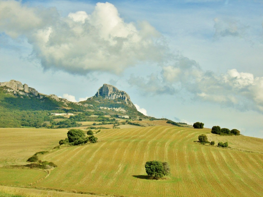 Foto: Paisaje - Antoñana (Álava), España