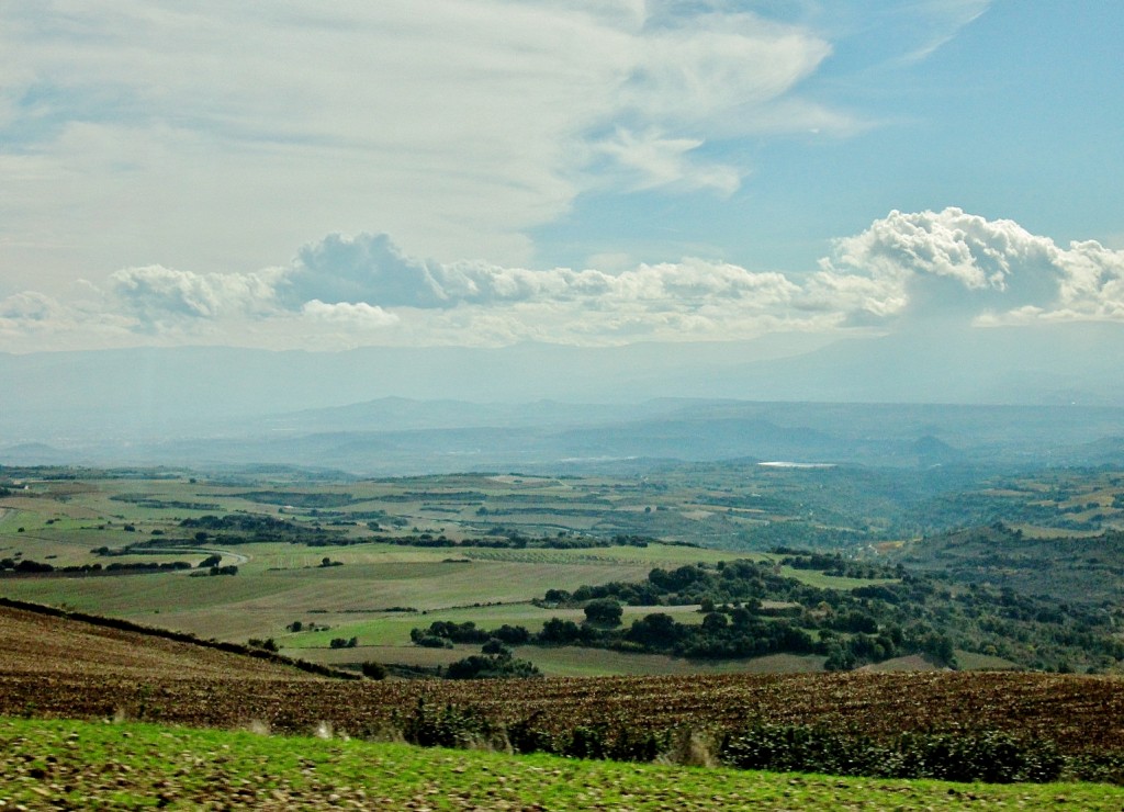 Foto: Paisaje - Antoñana (Álava), España