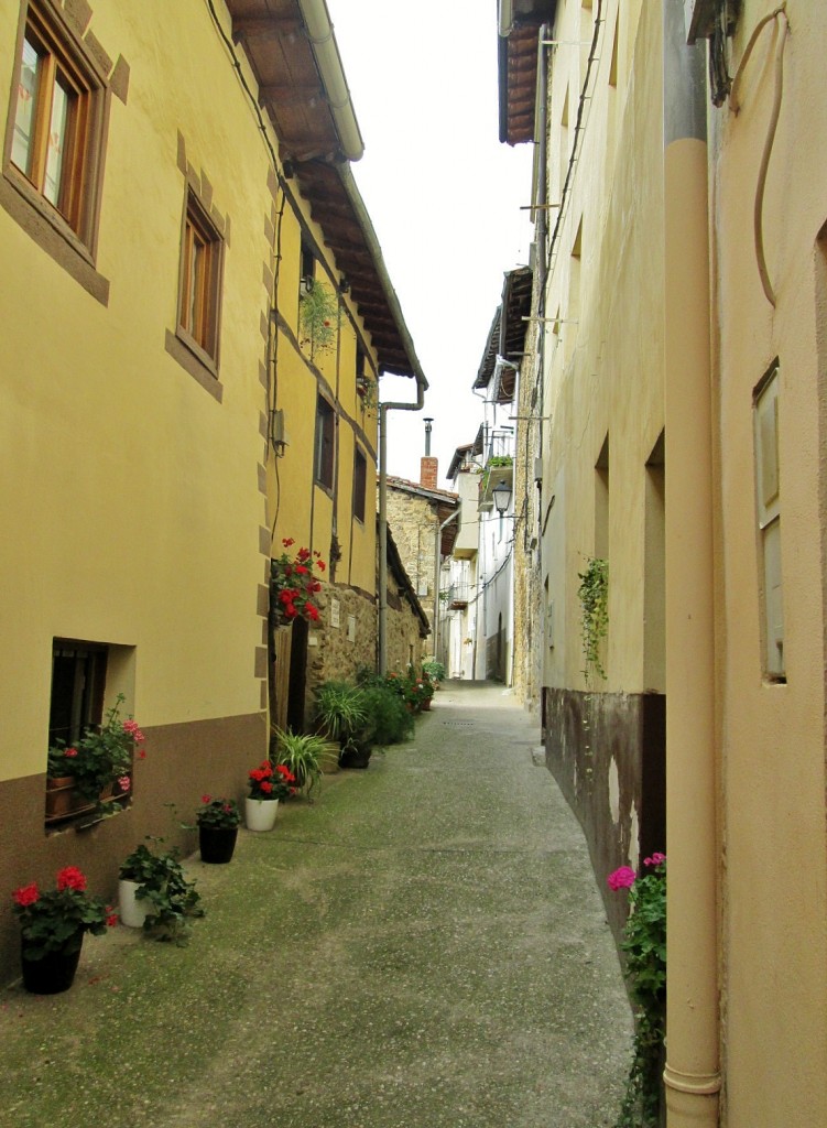 Foto: Centro histórico - Antoñana (Álava), España