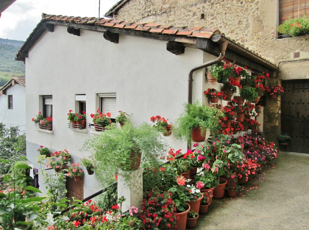 Foto: Centro histórico - Antoñana (Álava), España