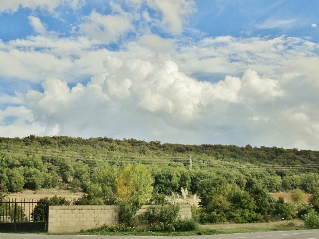 Foto: Paisaje - Antoñana (Álava), España