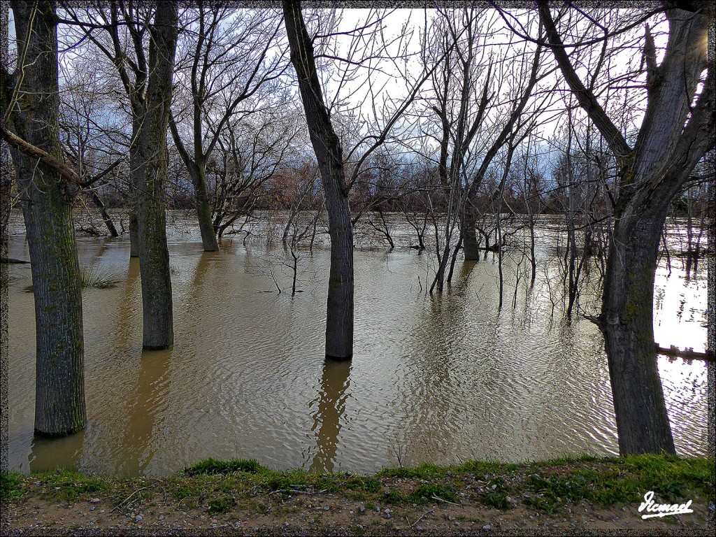 Foto: 150224-13 RIO EBRO EN JUSLIBOL - Zaragoza (Aragón), España