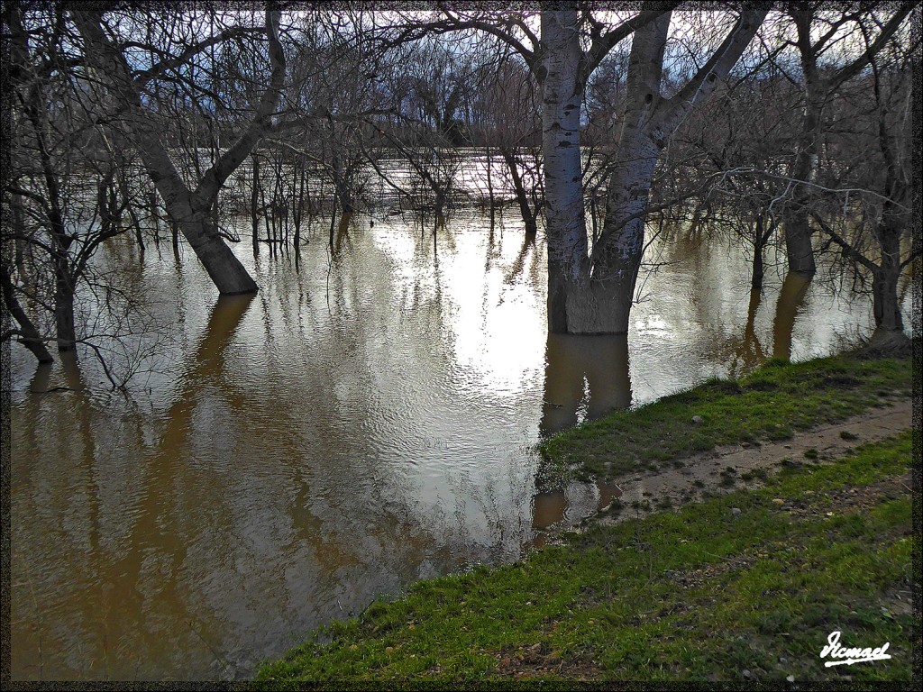Foto: 150224-15 RIO EBRO EN JUSLIBOL - Zaragoza (Aragón), España