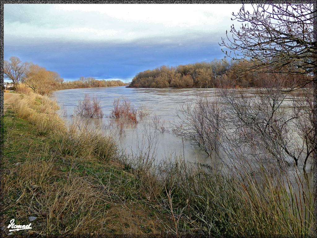 Foto: 150224-17 RIO EBRO EN JUSLIBOL - Zaragoza (Aragón), España