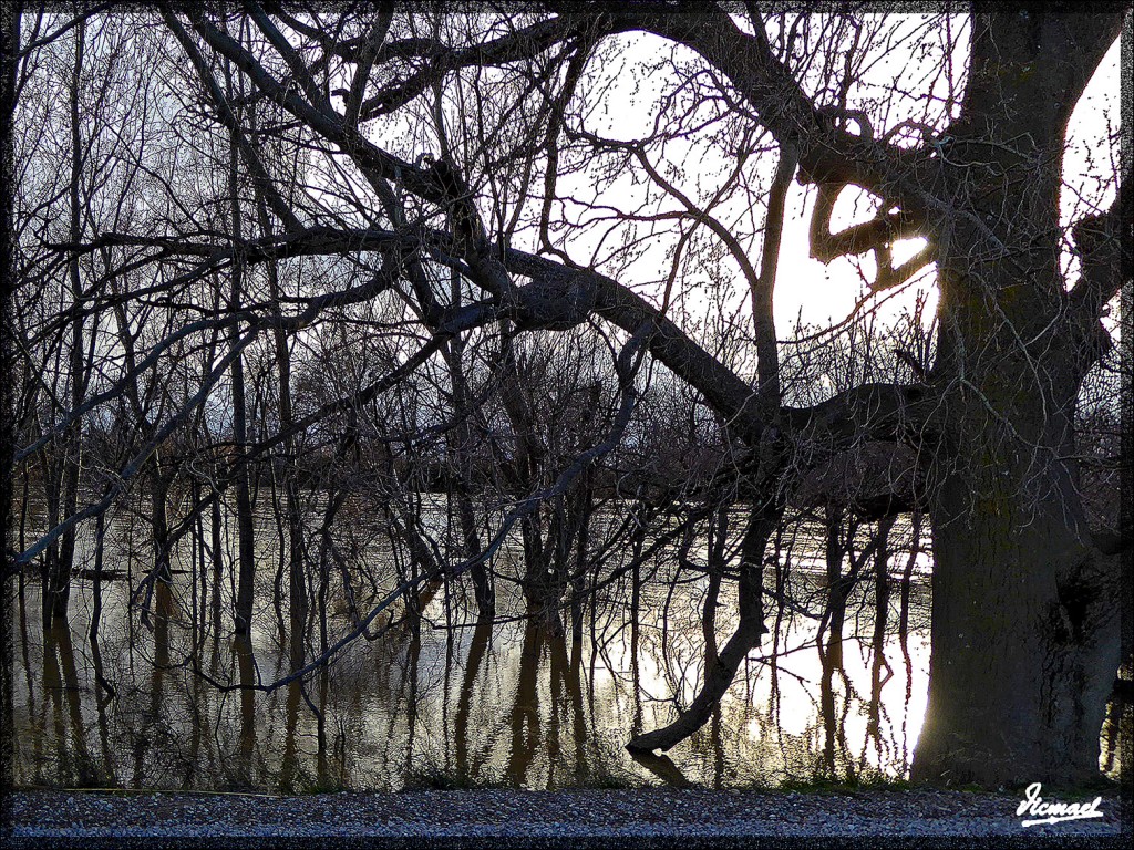 Foto: 150224-29 RIO EBRO EN JUSLIBOL - Zaragoza (Aragón), España