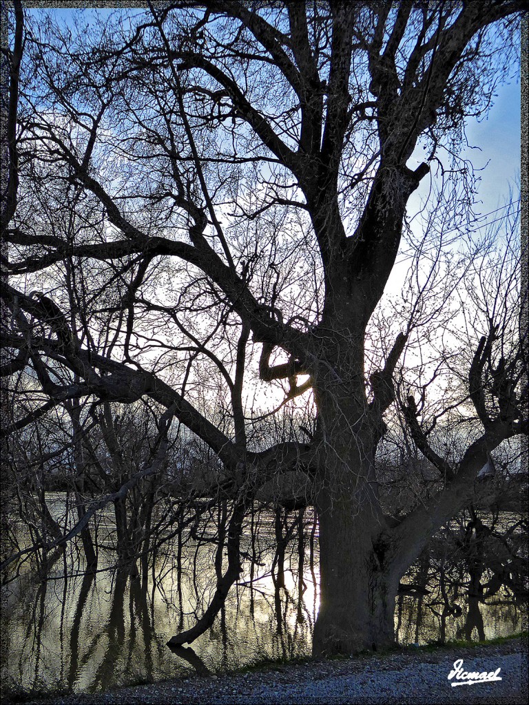 Foto: 150224-30 RIO EBRO EN JUSLIBOL - Zaragoza (Aragón), España