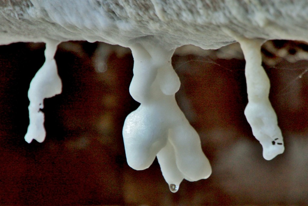 Foto: Valle salado - Salinas de Añana (Álava), España