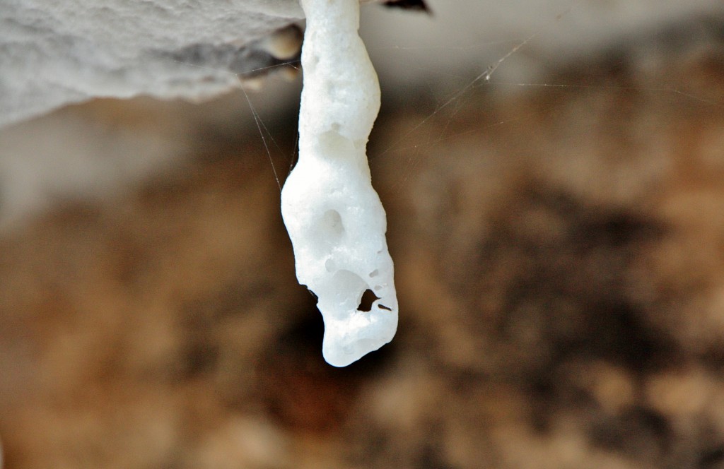 Foto: Valle salado - Salinas de Añana (Álava), España