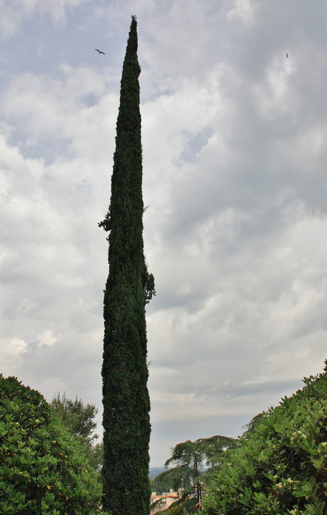 Foto: Exposición Girona Temps de Flors - Girona (Cataluña), España
