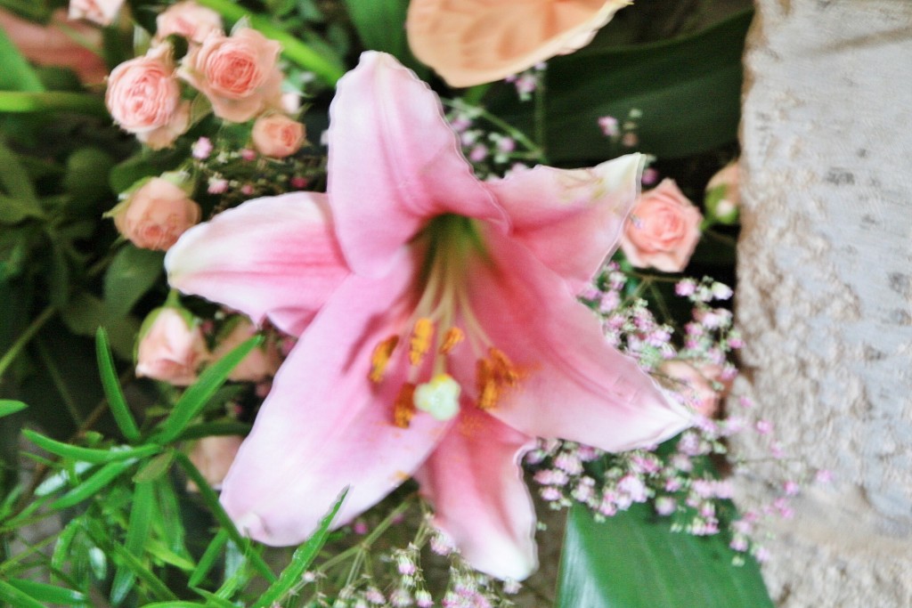 Foto: Exposición Girona Temps de Flors - Girona (Cataluña), España