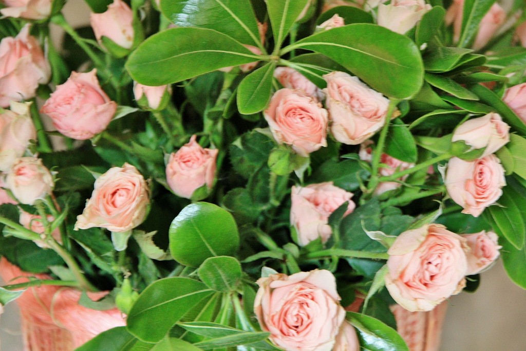 Foto: Exposición Girona Temps de Flors - Girona (Cataluña), España