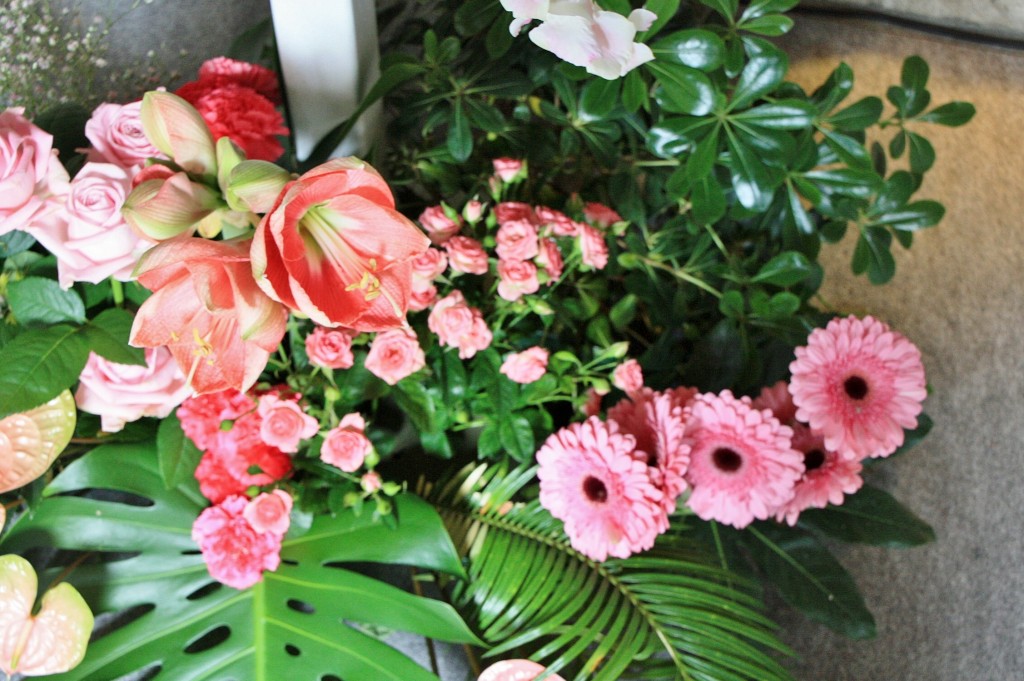 Foto: Exposición Girona Temps de Flors - Girona (Cataluña), España