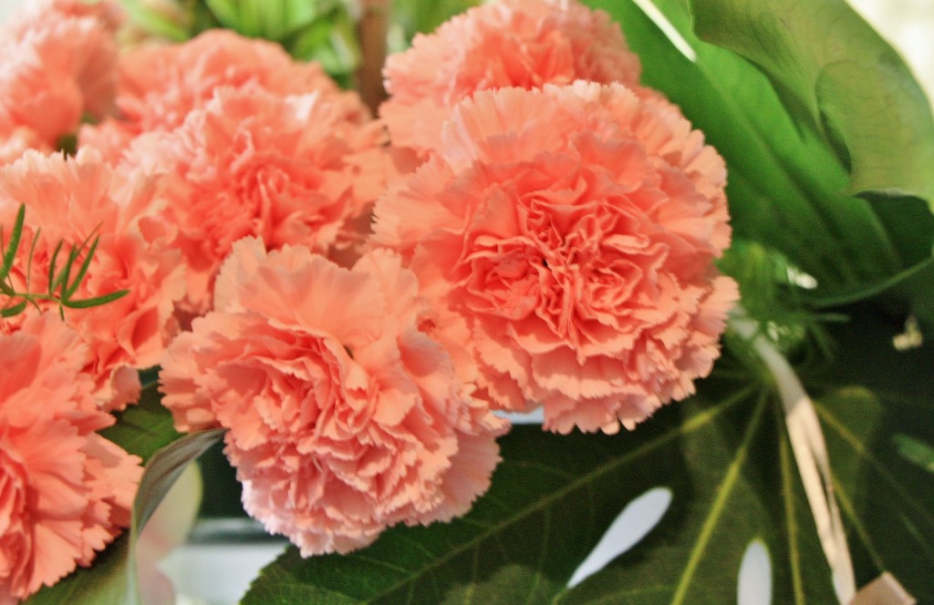 Foto: Exposición Girona Temps de Flors - Girona (Cataluña), España