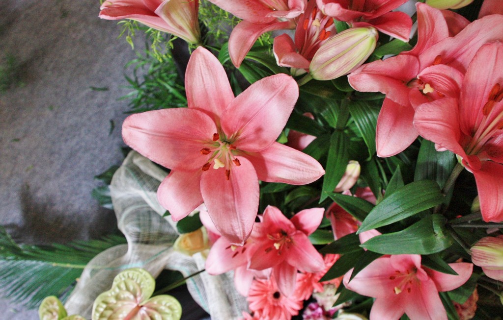 Foto: Exposición Girona Temps de Flors - Girona (Cataluña), España