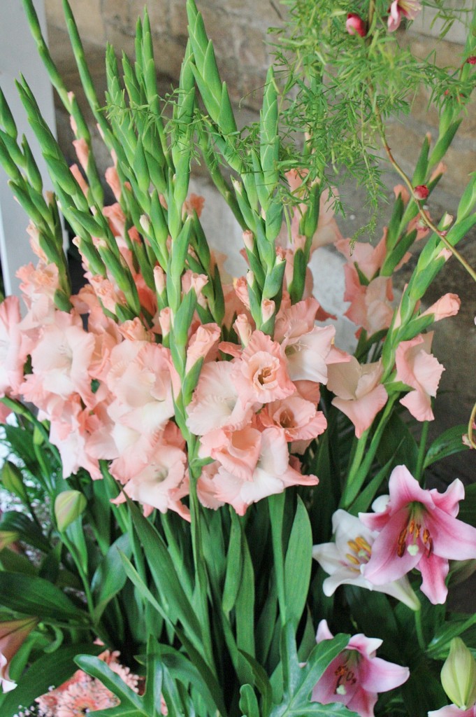 Foto: Exposición Girona Temps de Flors - Girona (Cataluña), España