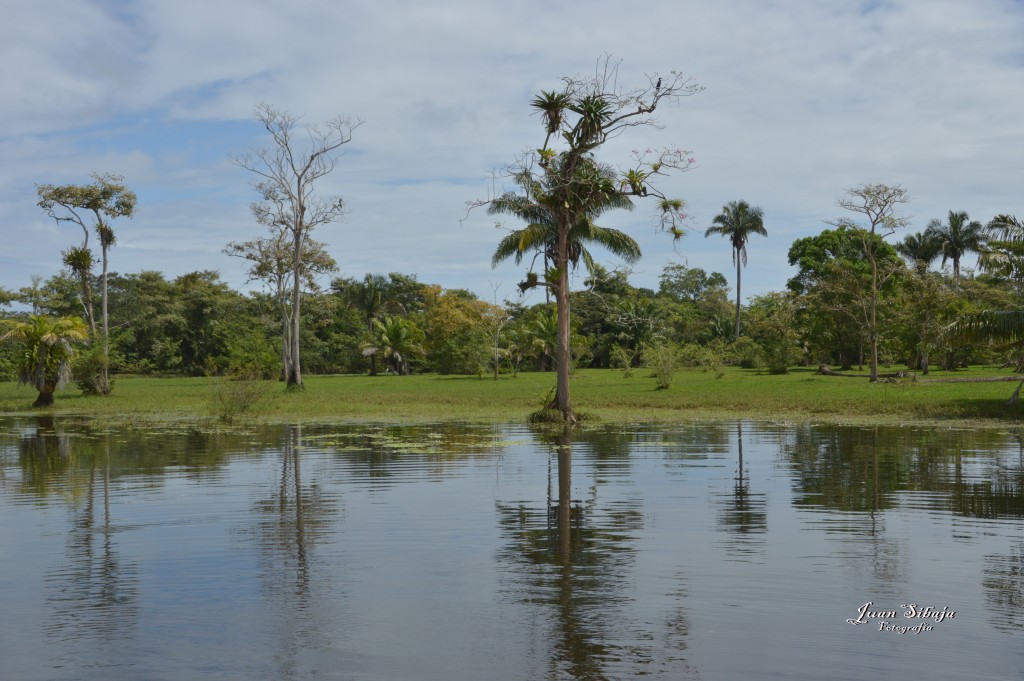 Foto: Refugio de Vida Silvestre - Caño Negro (Alajuela), Costa Rica