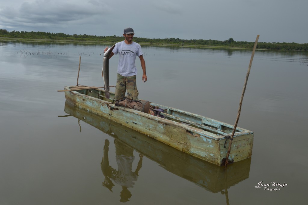 Foto: Refugio de Vida Silvestre - Caño Negro (Alajuela), Costa Rica