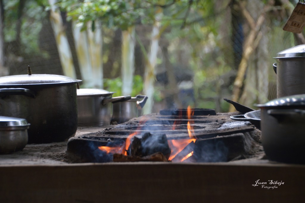 Foto: Refugio de Vida Silvestre - Caño Negro (Alajuela), Costa Rica