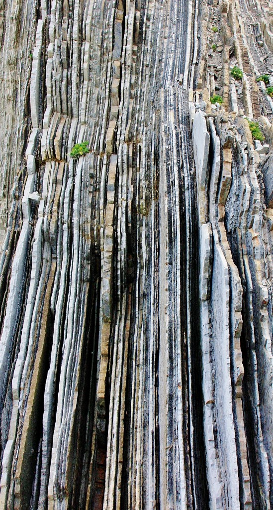 Foto: Playa de Itzurun - Zumaia (Gipuzkoa), España