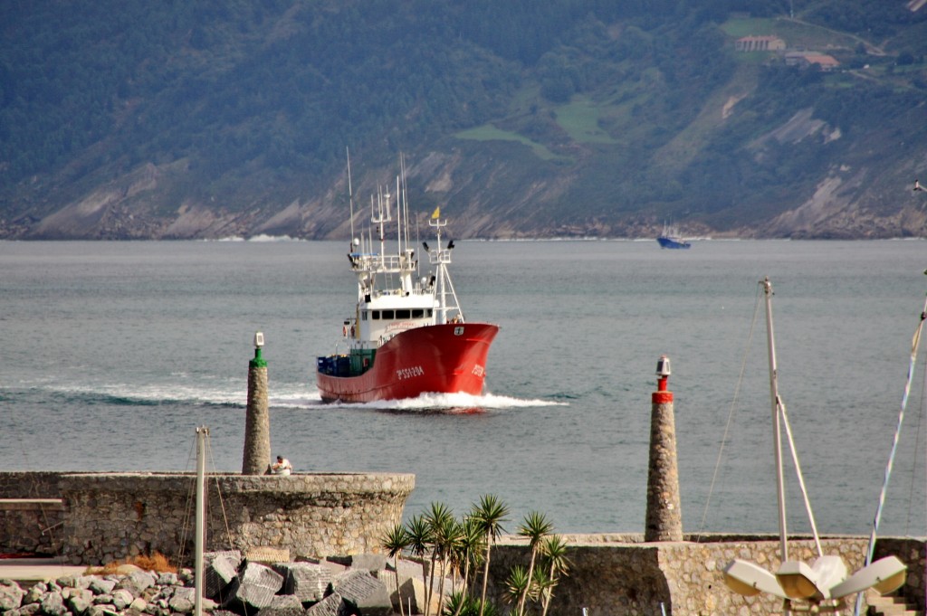 Foto: Puerto - Getaria (Gipuzkoa), España