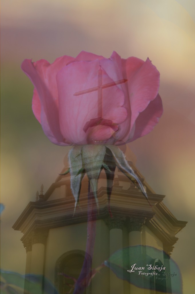 Foto de Alajuela, Costa Rica