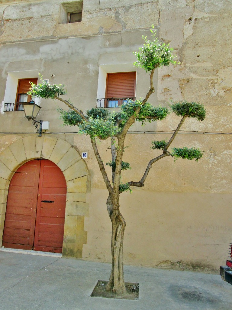 Foto: Centro histórico - Maella (Zaragoza), España